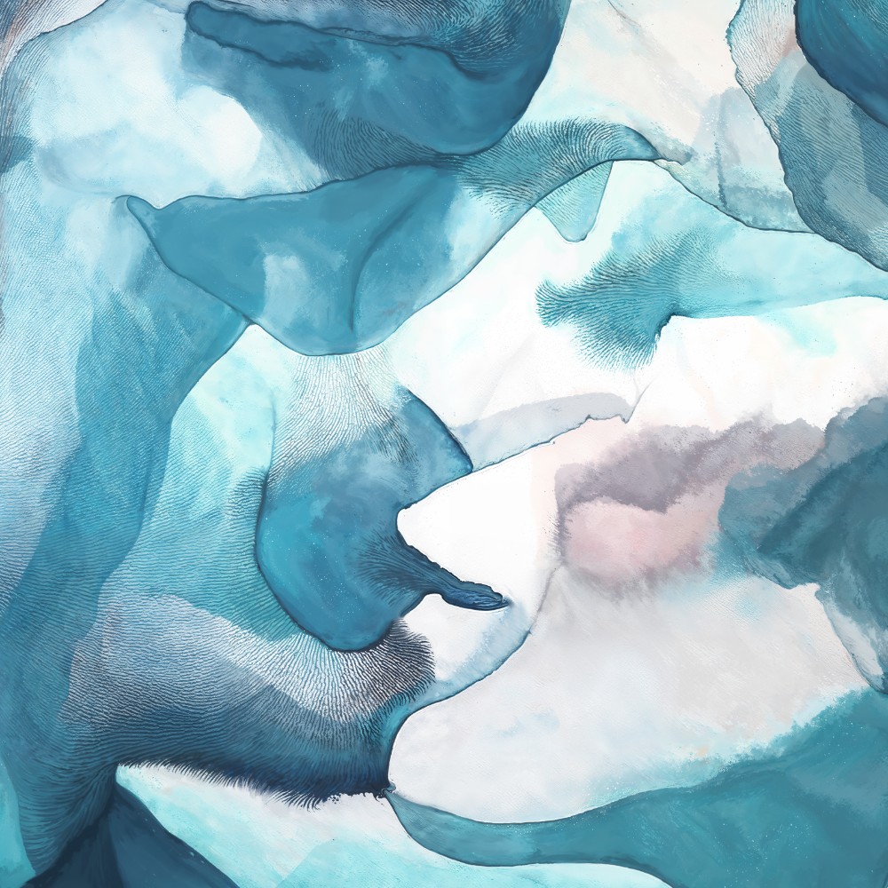 Lightly Brushes — Julien Louvier Legrand