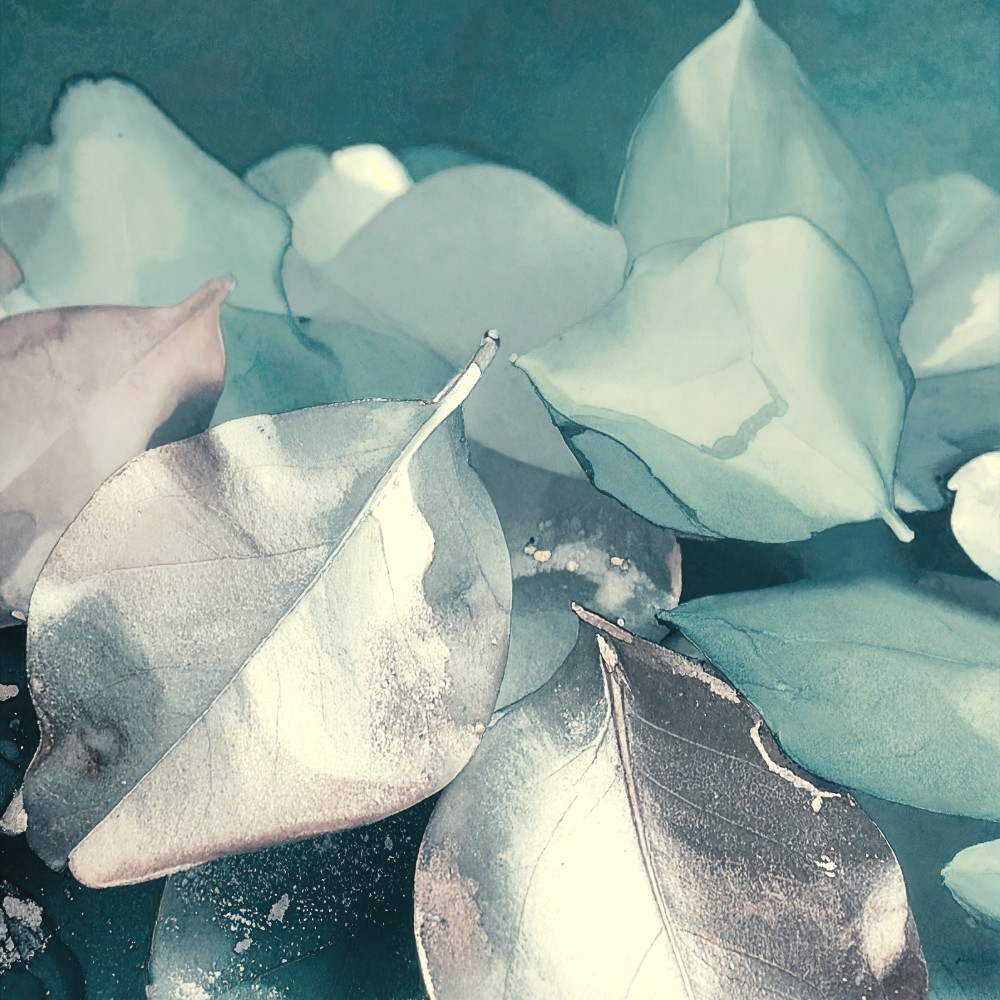Fallow — Julien Louvier Legrand