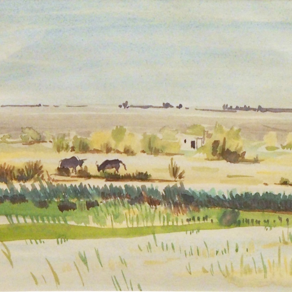 Bulls in the Camargue — Fabienne Blanc