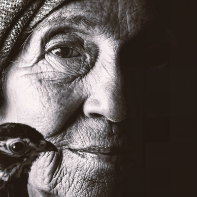 "Transmission" by Julien Louvier Legrand – The Vilbil: Online Hub for Art and Artists