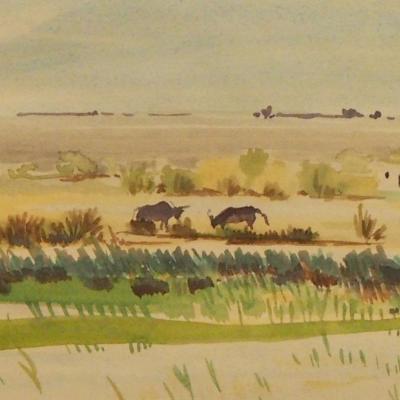 "Bulls in the Camargue" by Fabienne Blanc – The Vilbil: Online Hub for Art and Artists