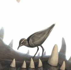 "Symbiosis" by Anastasia Kuznetsova-Ruf – The Vilbil: Online Hub for Art and Artists