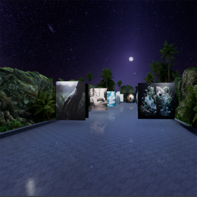 JULIEN LOUVIER LEGRAND <br>Renaissance – The Vilbil: Online Hub for Art and Artists