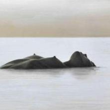 "Big fish" by Anastasia Kuznetsova-Ruf – The Vilbil: Online Hub for Art and Artists